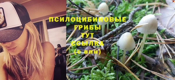 кокаин перу Богородицк