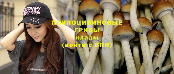 эйфоретик Белоозёрский